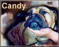 Candy