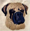 Fawn Bullmastiff Head - Click here for a closeup!