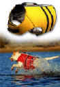 A Life Jacket Built for a Bullmastiff - Click Here!